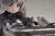 DLC Tea Time Cats Tabby Cat