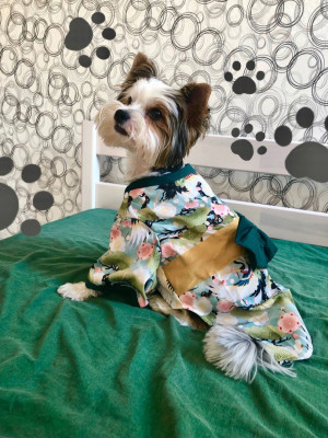 Кимоно для питомца среднее br903 shg40