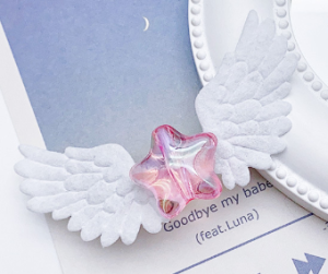 Заколка белые крылья и звезда bv666 shg28