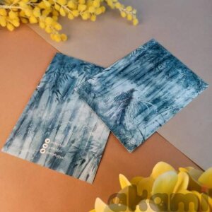 Scum Villain’s System открытка А5 Ло Бинхэ или Шень Цинцю от Joe Kotlyar (Спецзаказ) открытка Ло Бинхэ ученик и Шень